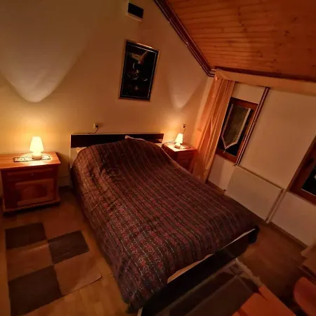 Oda ve Kahvaltı Winter Forest Vlasic *