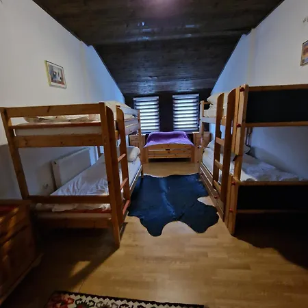 Winter Forest Vlasic B&B