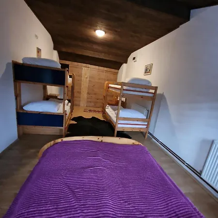 Winter Forest Vlasic