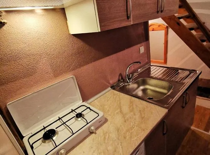 Winter Forest Vlasic *