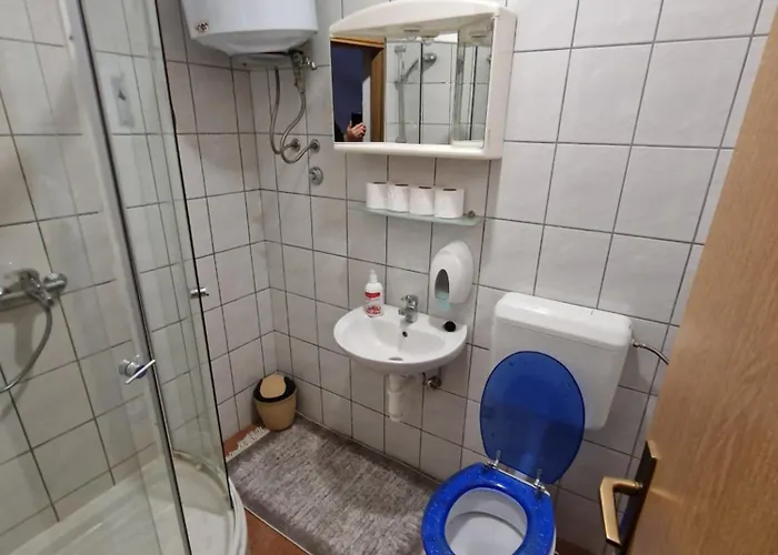 Winter Forest Vlasic