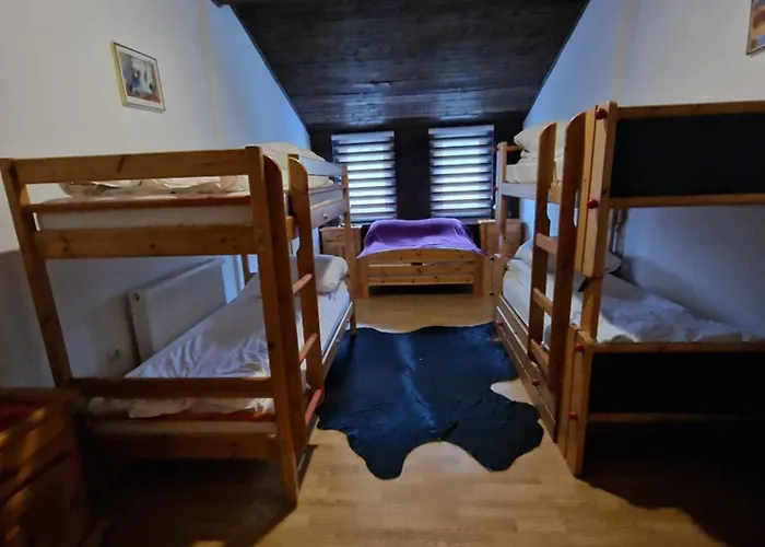 Winter Forest Vlasic Bed & Breakfast