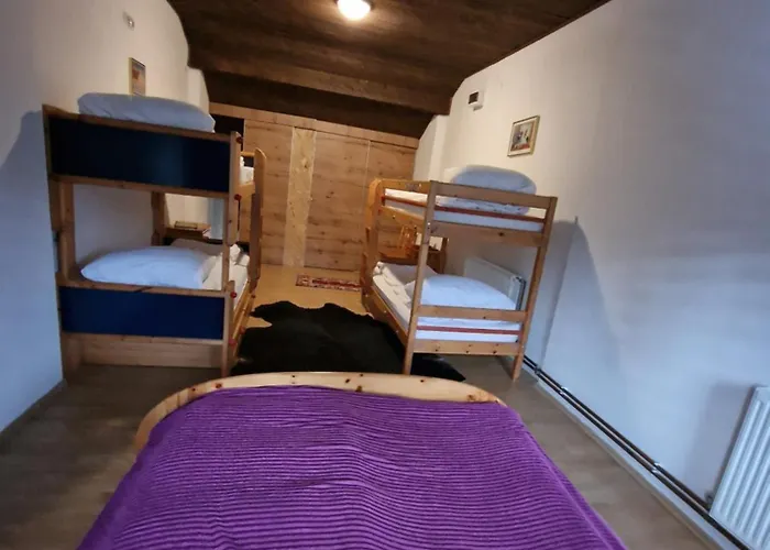 Winter Forest Vlasic