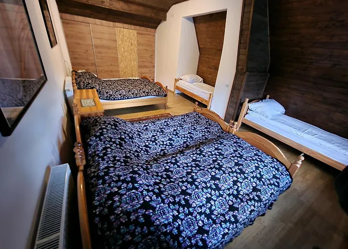 Winter Forest Vlasic Bed & Breakfast Travnik