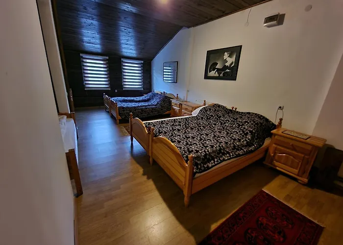 Winter Forest Vlasic Bed & Breakfast Travnik