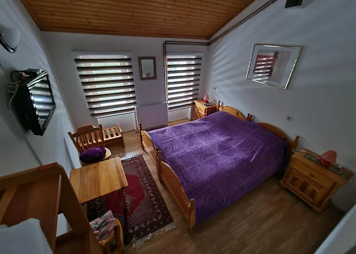 Winter Forest Vlasic Bed & Breakfast